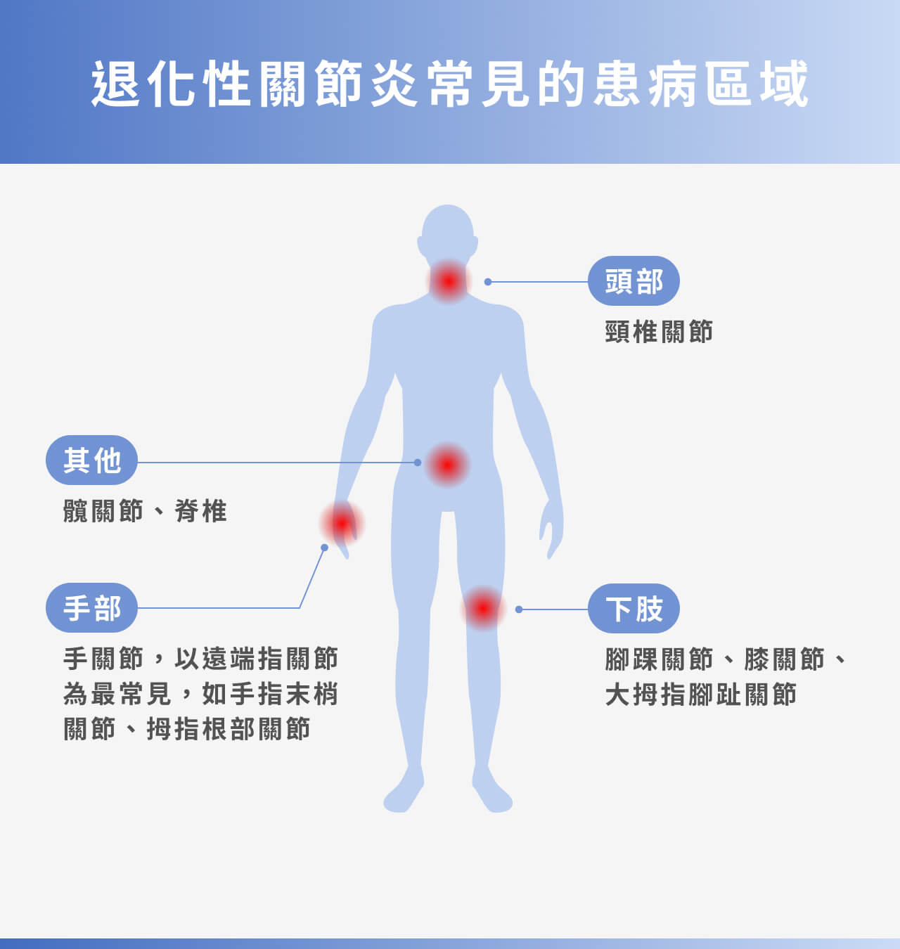 退化性關節炎常見患病區域示意圖：頭部、首部、下肢關節