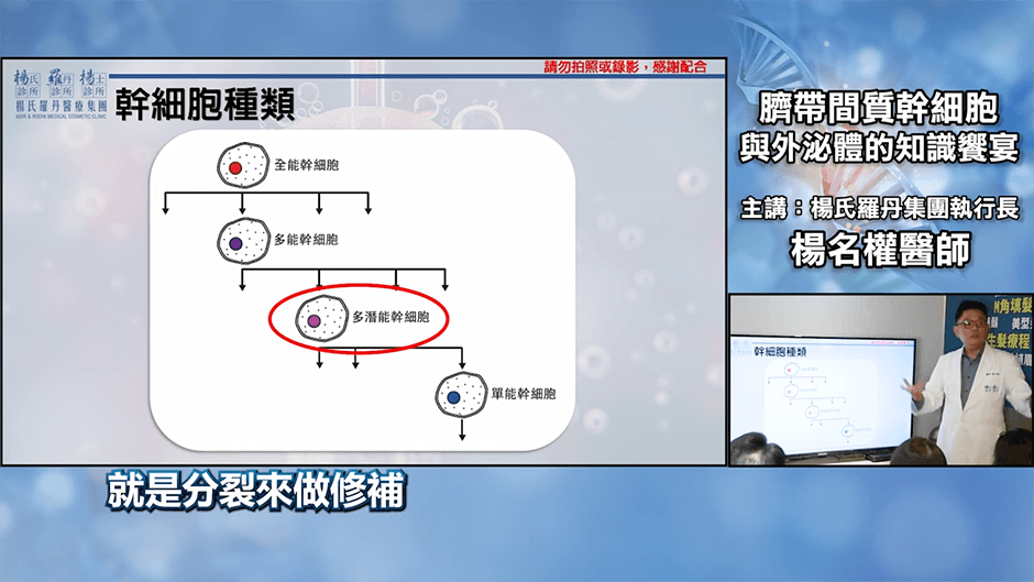 幹細胞 抗衰老