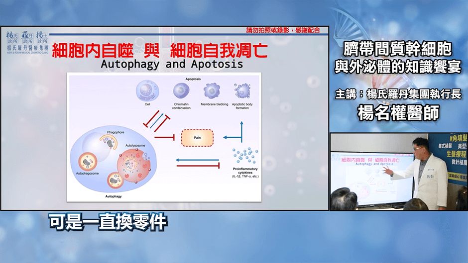幹細胞 生髮 幹細胞治療