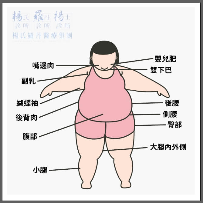 雷射減脂 醫學美容 楊氏診所