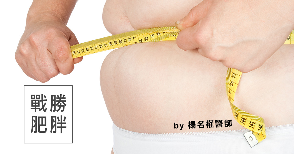 【戰勝肥胖】摘要與評論